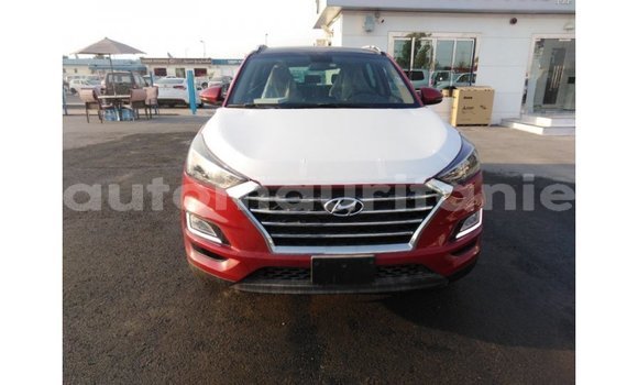 Buy Import Hyundai Tucson Red Car in Import - Dubai in Adrar Buy Import Hyundai Tucson Red Car in Import - Dubai in Adrar