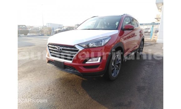 Buy Import Hyundai Tucson Red Car in Import - Dubai in Adrar Buy Import Hyundai Tucson Red Car in Import - Dubai in Adrar