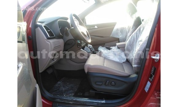 Buy Import Hyundai Tucson Red Car in Import - Dubai in Adrar Buy Import Hyundai Tucson Red Car in Import - Dubai in Adrar