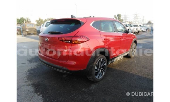 Buy Import Hyundai Tucson Red Car in Import - Dubai in Adrar Buy Import Hyundai Tucson Red Car in Import - Dubai in Adrar