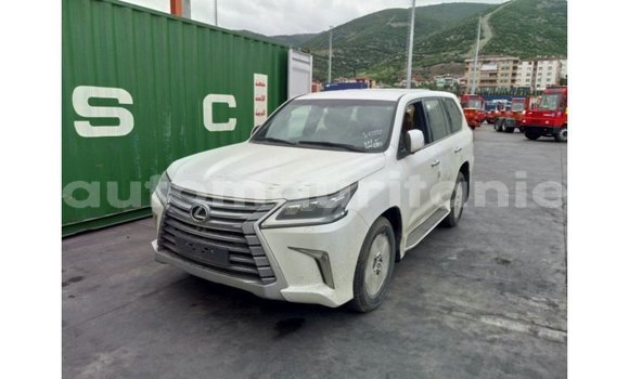 Buy Import Lexus LX White Car in Import - Dubai in Adrar Buy Import Lexus LX White Car in Import - Dubai in Adrar