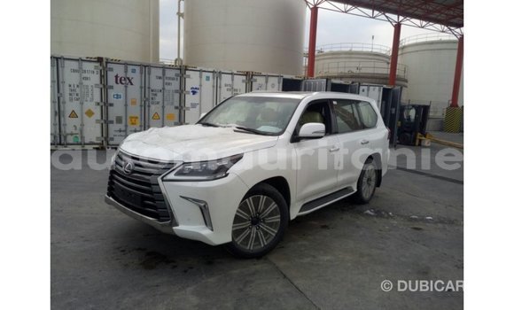 Buy Import Lexus LX White Car in Import - Dubai in Adrar Buy Import Lexus LX White Car in Import - Dubai in Adrar