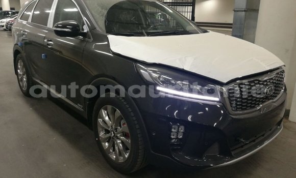 Acheter Import Voiture Kia Sorento Marron à Import - Dubai, Adrar