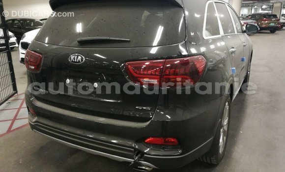 Buy Import Kia Sorento Brown Car in Import - Dubai in Adrar Buy Import Kia Sorento Brown Car in Import - Dubai in Adrar