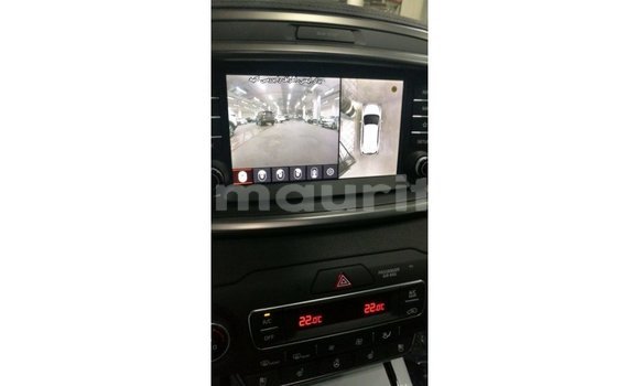 Buy Import Kia Sorento Brown Car in Import - Dubai in Adrar Buy Import Kia Sorento Brown Car in Import - Dubai in Adrar