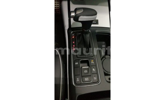 Buy Import Kia Sorento Brown Car in Import - Dubai in Adrar Buy Import Kia Sorento Brown Car in Import - Dubai in Adrar