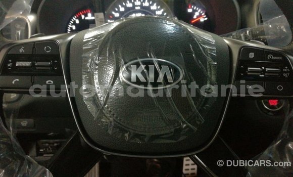 Buy Import Kia Sorento Brown Car in Import - Dubai in Adrar Buy Import Kia Sorento Brown Car in Import - Dubai in Adrar