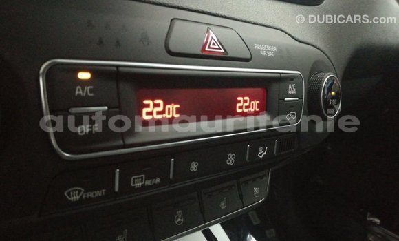 Buy Import Kia Sorento Brown Car in Import - Dubai in Adrar Buy Import Kia Sorento Brown Car in Import - Dubai in Adrar