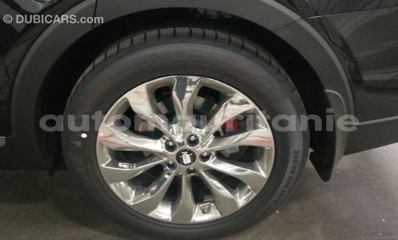 Buy Import Kia Sorento Brown Car in Import - Dubai in Adrar Buy Import Kia Sorento Brown Car in Import - Dubai in Adrar