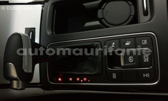 Buy Import Kia Sorento Brown Car in Import - Dubai in Adrar Buy Import Kia Sorento Brown Car in Import - Dubai in Adrar