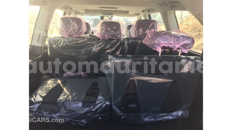 Big with watermark 152d4578 edc3 486d 9a47 849e6a8f599e