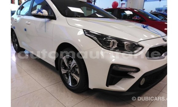 Buy Import Kia Cerato White Car in Import - Dubai in Adrar Buy Import Kia Cerato White Car in Import - Dubai in Adrar