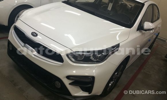 Buy Import Kia Cerato White Car in Import - Dubai in Adrar Buy Import Kia Cerato White Car in Import - Dubai in Adrar