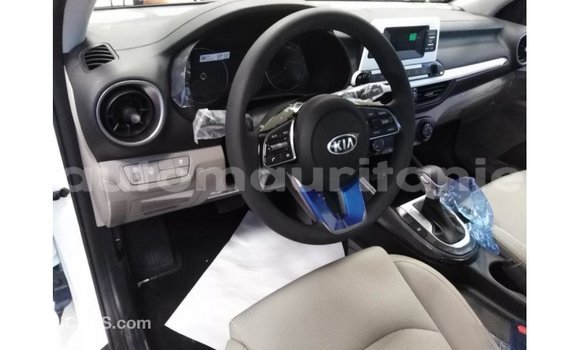 Buy Import Kia Cerato White Car in Import - Dubai in Adrar Buy Import Kia Cerato White Car in Import - Dubai in Adrar