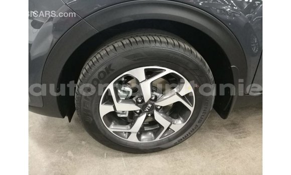 Buy Import Kia Sportage Other Car in Import - Dubai in Adrar Buy Import Kia Sportage Other Car in Import - Dubai in Adrar