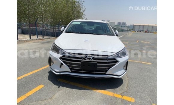 Buy Import Hyundai Elantra White Car in Import - Dubai in Adrar Buy Import Hyundai Elantra White Car in Import - Dubai in Adrar