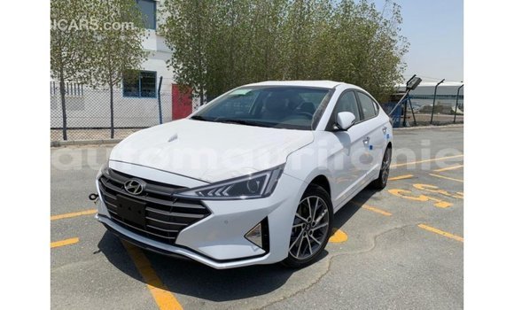 Buy Import Hyundai Elantra White Car in Import - Dubai in Adrar Buy Import Hyundai Elantra White Car in Import - Dubai in Adrar