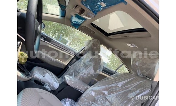 Buy Import Hyundai Elantra White Car in Import - Dubai in Adrar Buy Import Hyundai Elantra White Car in Import - Dubai in Adrar