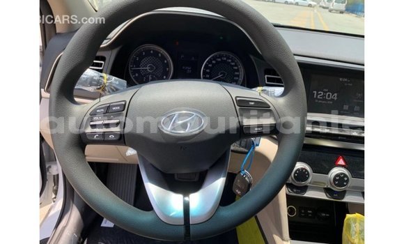Buy Import Hyundai Elantra White Car in Import - Dubai in Adrar Buy Import Hyundai Elantra White Car in Import - Dubai in Adrar
