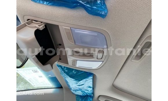 Buy Import Hyundai Elantra White Car in Import - Dubai in Adrar Buy Import Hyundai Elantra White Car in Import - Dubai in Adrar