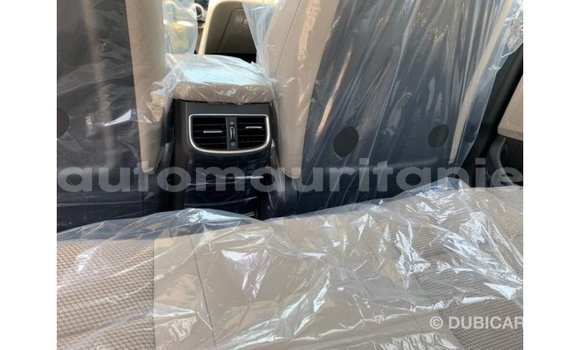 Buy Import Hyundai Elantra White Car in Import - Dubai in Adrar Buy Import Hyundai Elantra White Car in Import - Dubai in Adrar