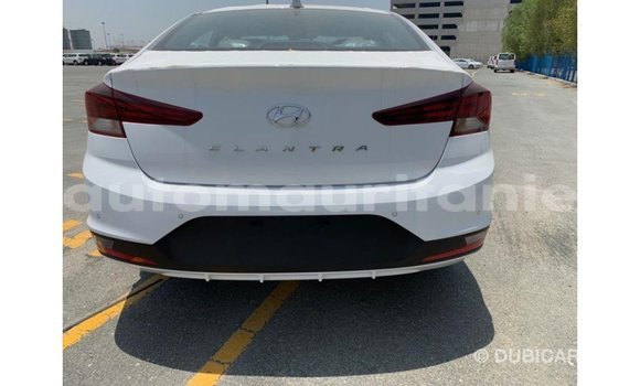Buy Import Hyundai Elantra White Car in Import - Dubai in Adrar Buy Import Hyundai Elantra White Car in Import - Dubai in Adrar