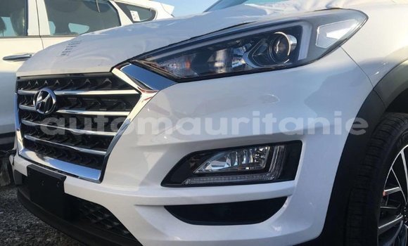 Acheter Import Voiture Hyundai Tucson Blanc à Import - Dubai, Adrar Acheter Import Voiture Hyundai Tucson Blanc à Import - Dubai, Adrar