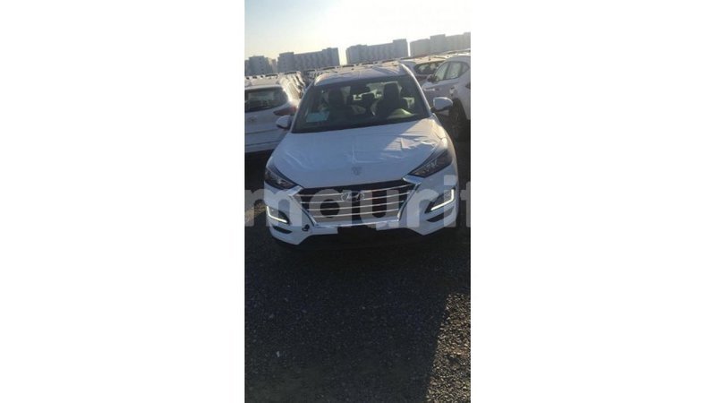 Big with watermark f2270569 fd8f 42ea 8d29 b163f91d9a2a