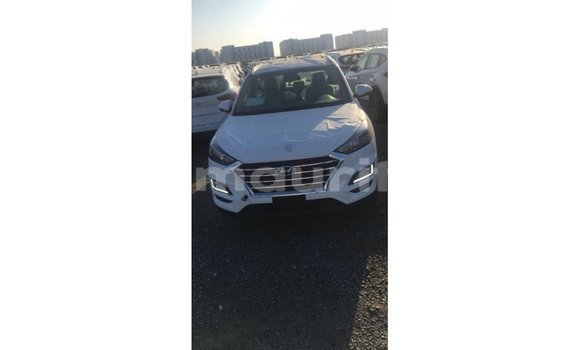 Acheter Import Voiture Hyundai Tucson Blanc à Import - Dubai, Adrar Acheter Import Voiture Hyundai Tucson Blanc à Import - Dubai, Adrar