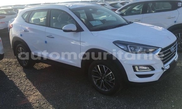Acheter Import Voiture Hyundai Tucson Blanc à Import - Dubai, Adrar Acheter Import Voiture Hyundai Tucson Blanc à Import - Dubai, Adrar