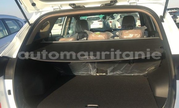 Acheter Import Voiture Hyundai Tucson Blanc à Import - Dubai, Adrar Acheter Import Voiture Hyundai Tucson Blanc à Import - Dubai, Adrar