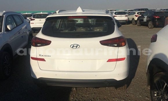Acheter Import Voiture Hyundai Tucson Blanc à Import - Dubai, Adrar Acheter Import Voiture Hyundai Tucson Blanc à Import - Dubai, Adrar