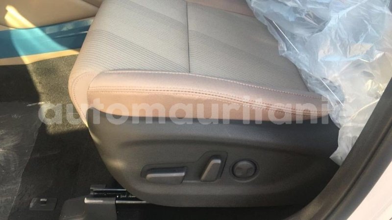 Big with watermark 8b276bef 8a8d 4032 b0dc cd51de888caf