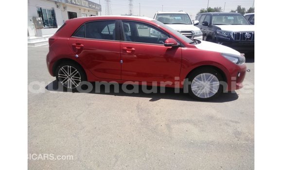 Acheter Import Voiture Kia Rio Rouge à Import - Dubai, Adrar Acheter Import Voiture Kia Rio Rouge à Import - Dubai, Adrar