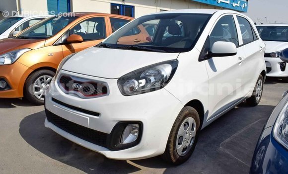 Acheter Import Voiture Kia Picanto Blanc à Import - Dubai, Adrar Acheter Import Voiture Kia Picanto Blanc à Import - Dubai, Adrar