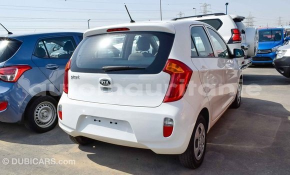 Acheter Import Voiture Kia Picanto Blanc à Import - Dubai, Adrar Acheter Import Voiture Kia Picanto Blanc à Import - Dubai, Adrar