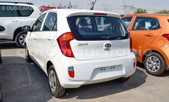 Acheter Import Voiture Kia Picanto Blanc à Import - Dubai, Adrar Acheter Import Voiture Kia Picanto Blanc à Import - Dubai, Adrar