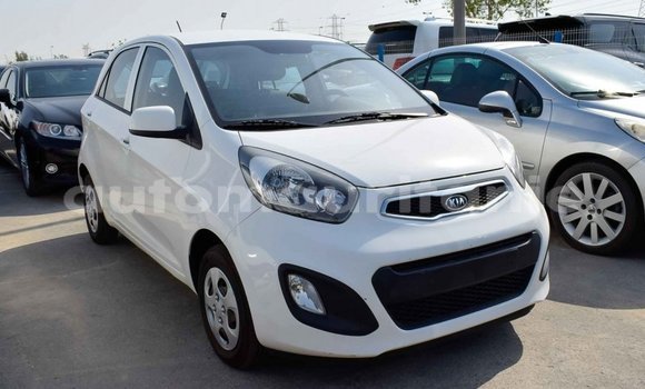 Acheter Import Voiture Kia Picanto Blanc à Import - Dubai, Adrar Acheter Import Voiture Kia Picanto Blanc à Import - Dubai, Adrar