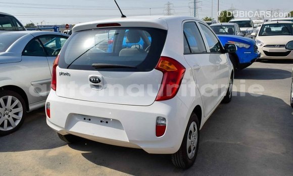 Acheter Import Voiture Kia Picanto Blanc à Import - Dubai, Adrar Acheter Import Voiture Kia Picanto Blanc à Import - Dubai, Adrar