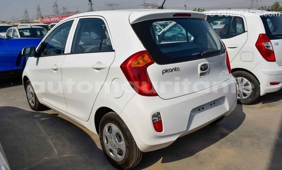 Acheter Import Voiture Kia Picanto Blanc à Import - Dubai, Adrar Acheter Import Voiture Kia Picanto Blanc à Import - Dubai, Adrar