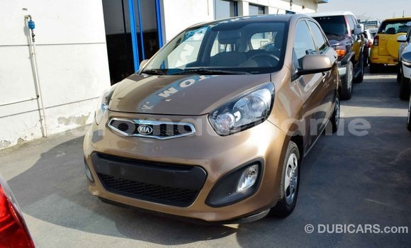 Acheter Import Voiture Kia Picanto Marron à Import - Dubai, Adrar Acheter Import Voiture Kia Picanto Marron à Import - Dubai, Adrar