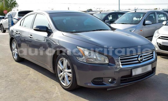 Acheter Import Voiture Nissan Maxima Autre à Import - Dubai, Adrar Acheter Import Voiture Nissan Maxima Autre à Import - Dubai, Adrar
