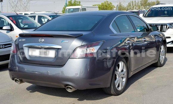 Acheter Import Voiture Nissan Maxima Autre à Import - Dubai, Adrar Acheter Import Voiture Nissan Maxima Autre à Import - Dubai, Adrar