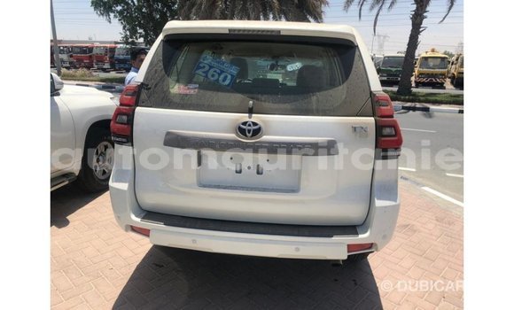 Acheter Import Voiture Toyota Prado Blanc à Import - Dubai, Adrar Acheter Import Voiture Toyota Prado Blanc à Import - Dubai, Adrar