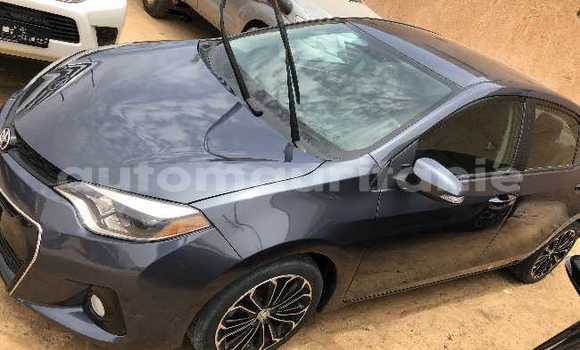 Acheter Occasion Voiture Toyota Corolla Noir à Nouakchott, Nouakchott Ouest