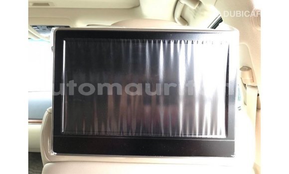 Acheter Import Voiture Toyota Land Cruiser Blanc à Import - Dubai, Adrar Acheter Import Voiture Toyota Land Cruiser Blanc à Import - Dubai, Adrar