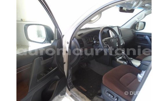 Buy Import Toyota Land Cruiser White Car in Import - Dubai in Adrar Buy Import Toyota Land Cruiser White Car in Import - Dubai in Adrar