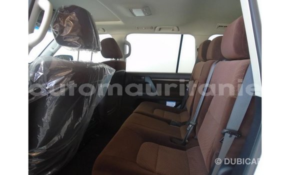 Buy Import Toyota Land Cruiser White Car in Import - Dubai in Adrar Buy Import Toyota Land Cruiser White Car in Import - Dubai in Adrar