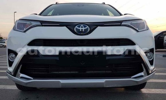 Buy Import Toyota RAV4 White Car in Import - Dubai in Adrar Buy Import Toyota RAV4 White Car in Import - Dubai in Adrar