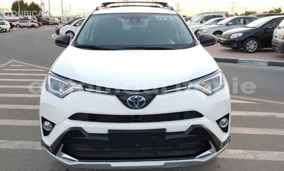 Buy Import Toyota RAV4 White Car in Import - Dubai in Adrar Buy Import Toyota RAV4 White Car in Import - Dubai in Adrar